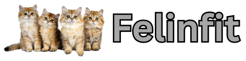 felinfit.com